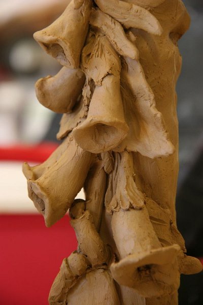 TS C14.jpg